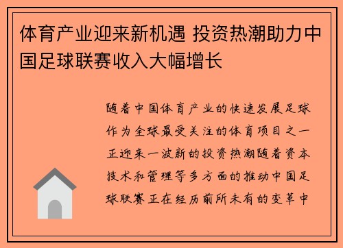 体育产业迎来新机遇 投资热潮助力中国足球联赛收入大幅增长