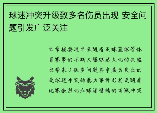 球迷冲突升级致多名伤员出现 安全问题引发广泛关注