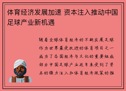 体育经济发展加速 资本注入推动中国足球产业新机遇